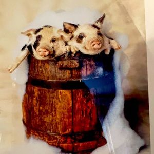 Adorable Piglet Framed Picture By Rachel Hale